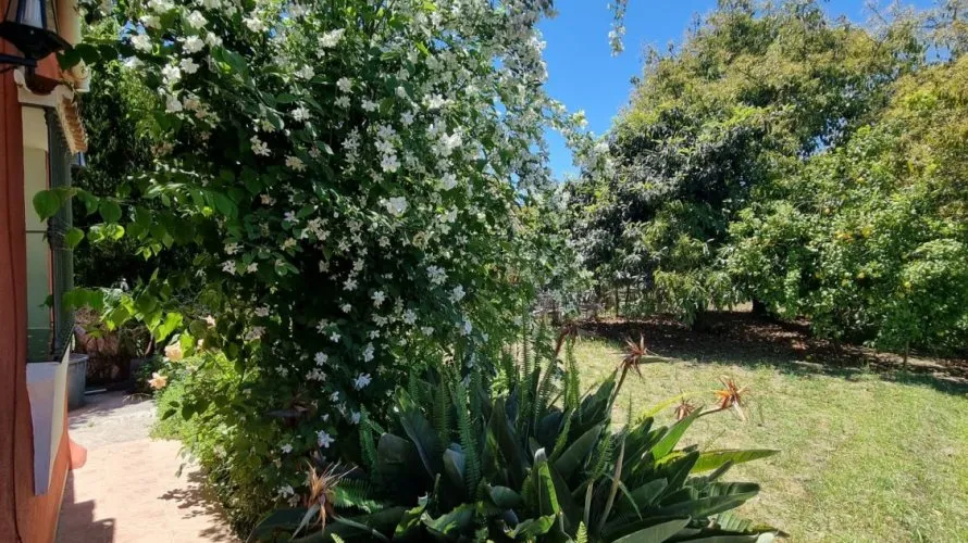 3 bedrooms house for sale , Cortes (San Pedro De Alcantara), Spain No. 31057 № 13