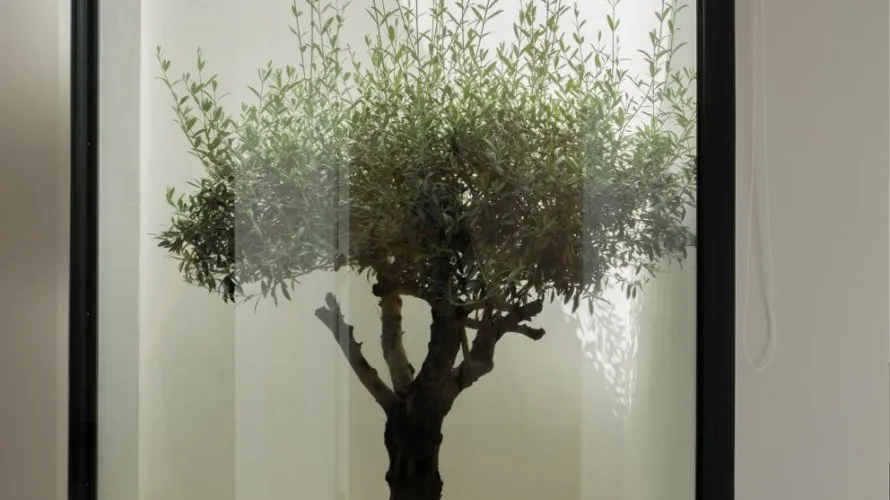 4 bedrooms villa for sale , Estepona, Spain No. 30631 № 20