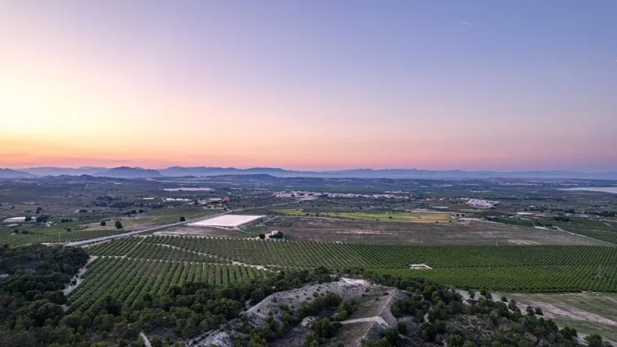 2 bedrooms bungalow for sale , San Miguel de Salinas, Spain No. 30674 № 26