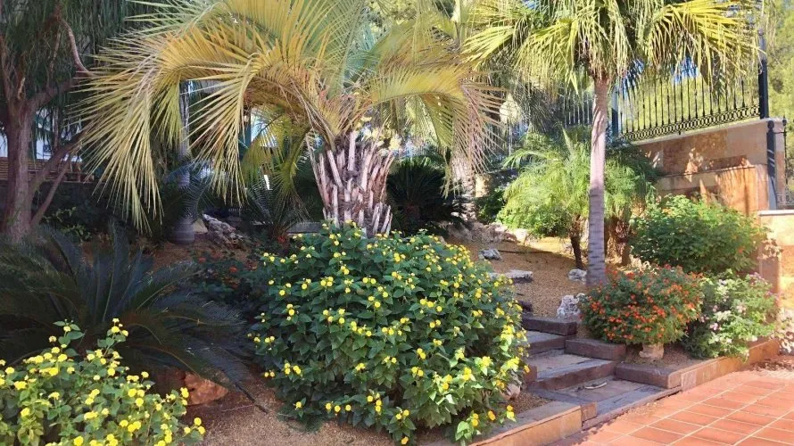 6 bedrooms villa for sale, El Palmar, Spain No. 32350 № 20