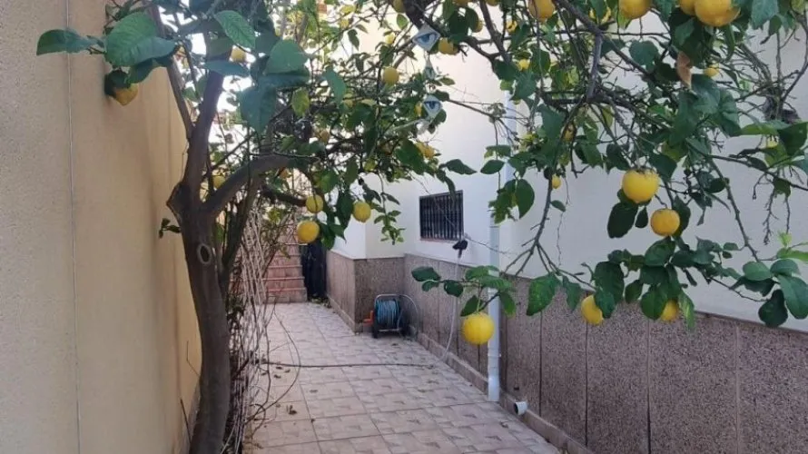 4 bedrooms villa for sale, Los Balcones, Spain No. 32574 № 16