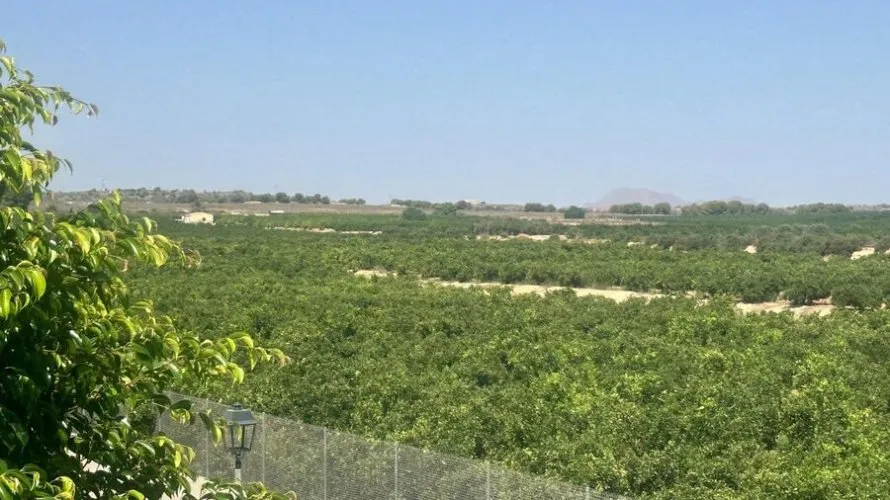 Villa for sale, Algorfa, Spain No. 32550 № 1
