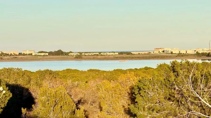 3 bedrooms house for sale, Torrevieja, Spain No. 32658 № 2